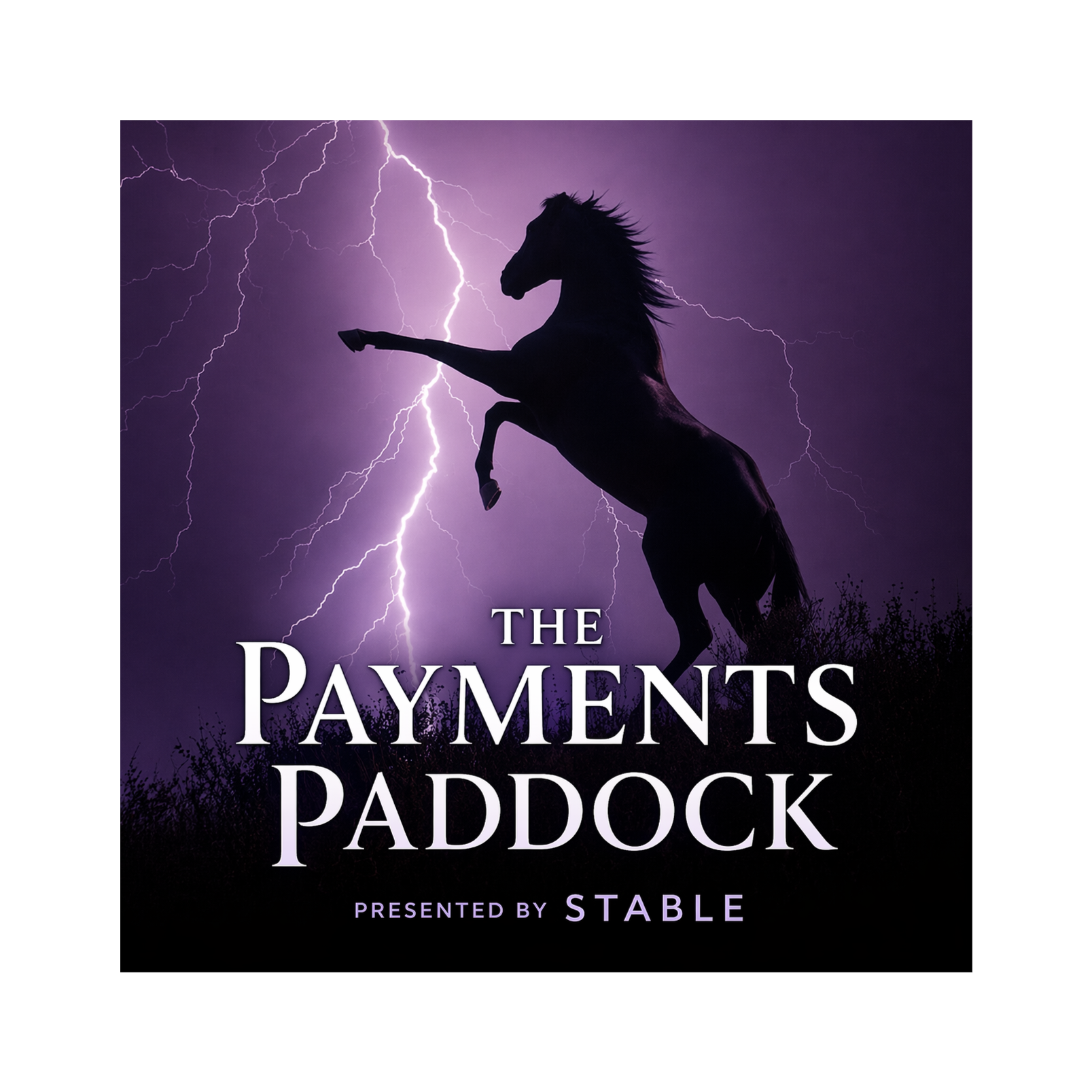 The Payments Paddock 